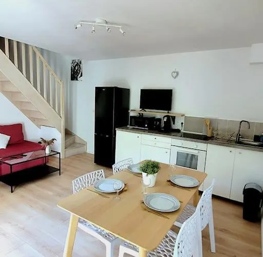 Joli Duplex Avec Terrasse Et Parking